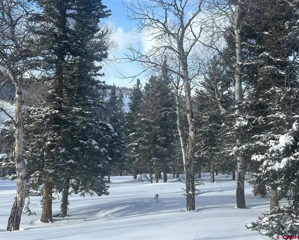 381 Monarch Road Powderhorn, CO 81243