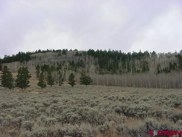 723 Uncompahgre Drive Powderhorn, CO 81243