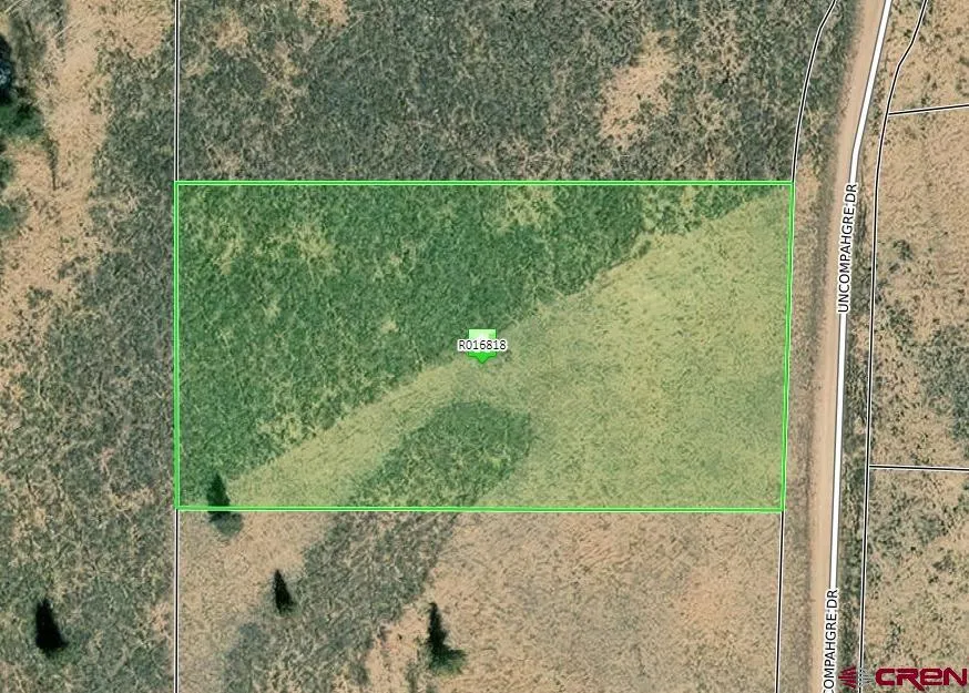 723 Uncompahgre Drive Powderhorn, CO 81243