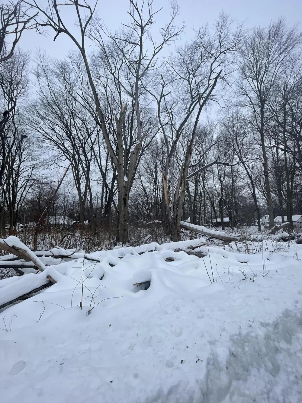 V/L 13th and Cypress Court Three Rivers, MI 49093