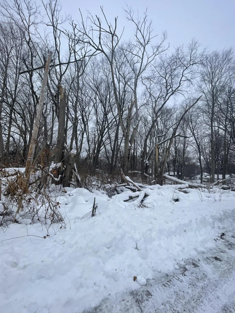 V/L 13th and Cypress Court Three Rivers, MI 49093