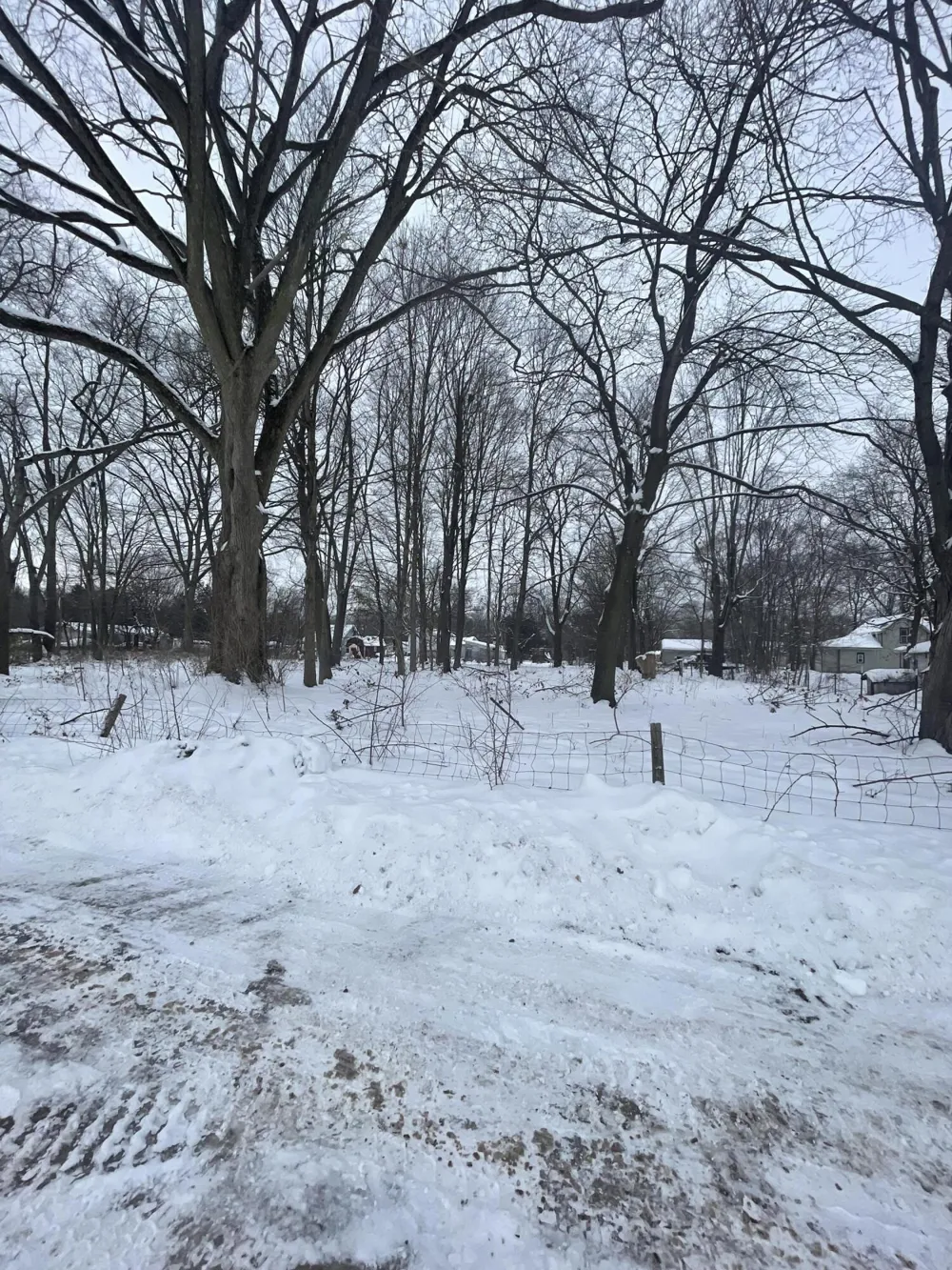 V/L 13th and Cypress Court Three Rivers, MI 49093