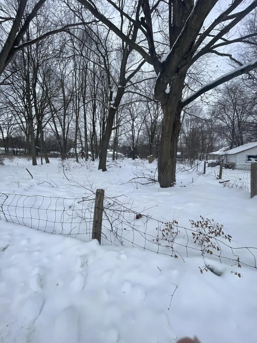 V/L 13th and Cypress Court Three Rivers, MI 49093