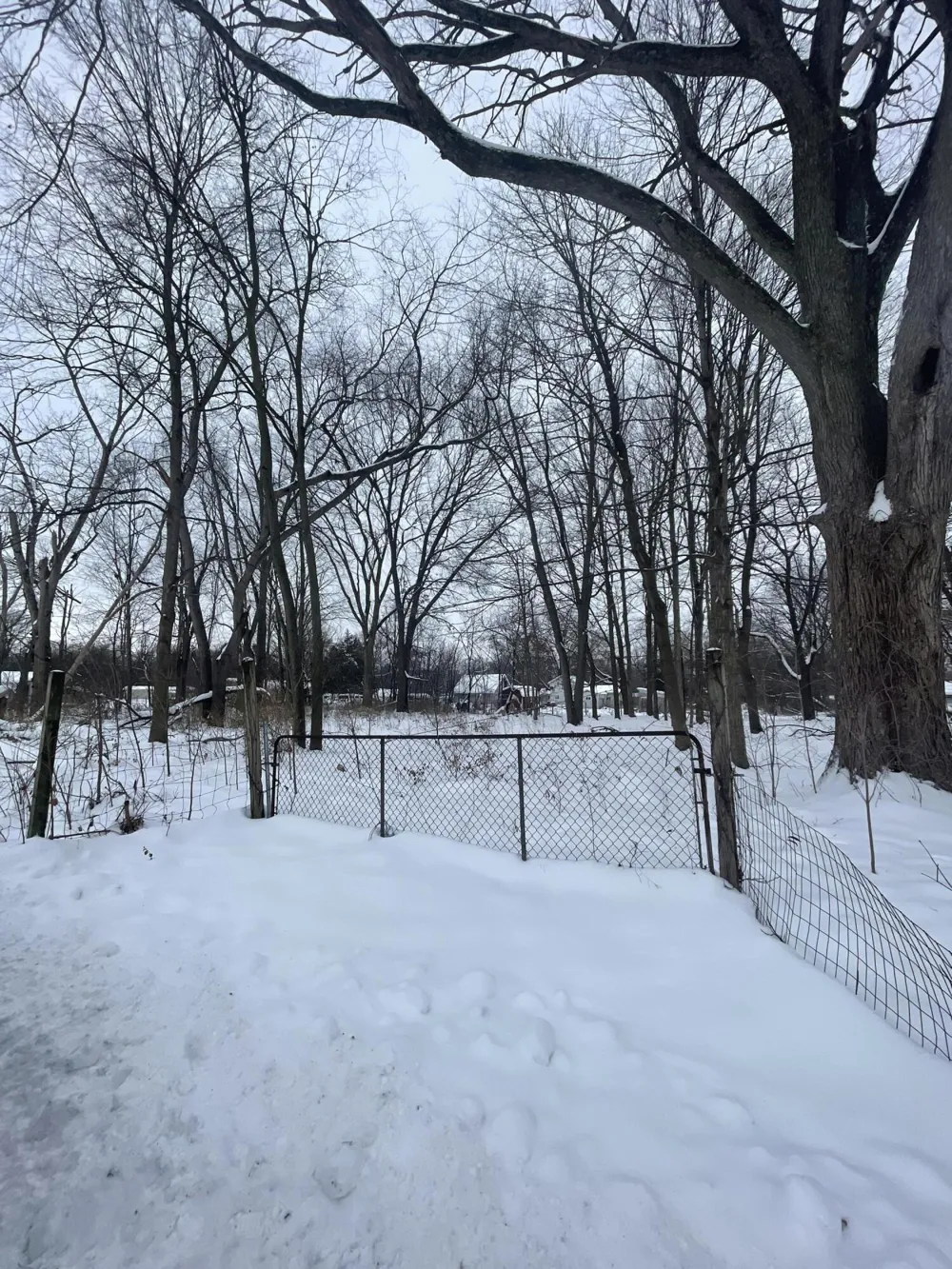 V/L 13th and Cypress Court Three Rivers, MI 49093