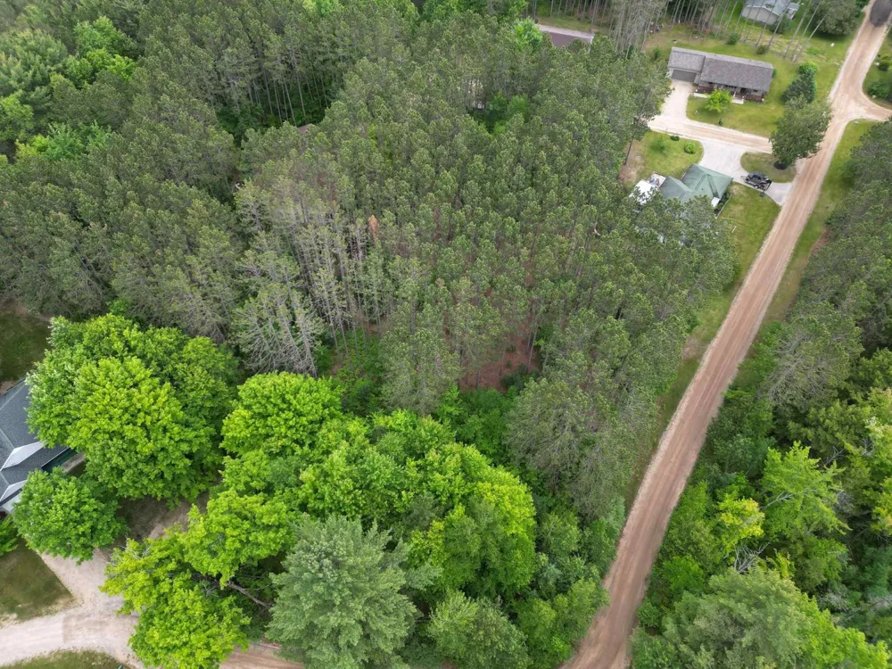 Wintergreen Surrey Township, MI 48622