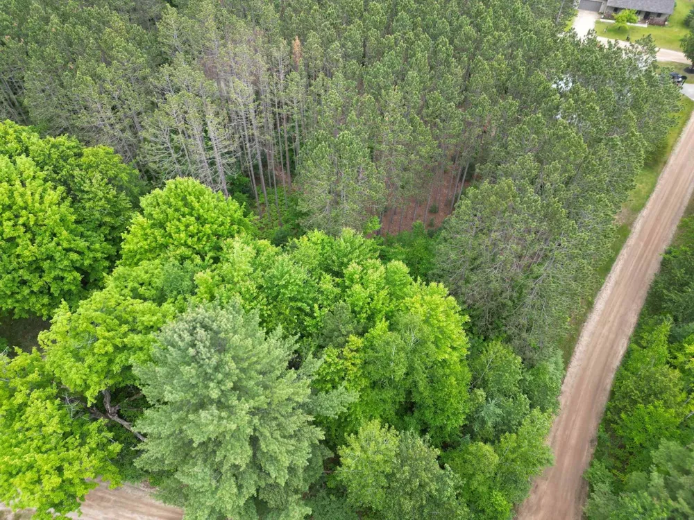 Wintergreen Surrey Township, MI 48622
