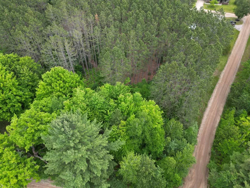 Wintergreen Surrey Township, MI 48622