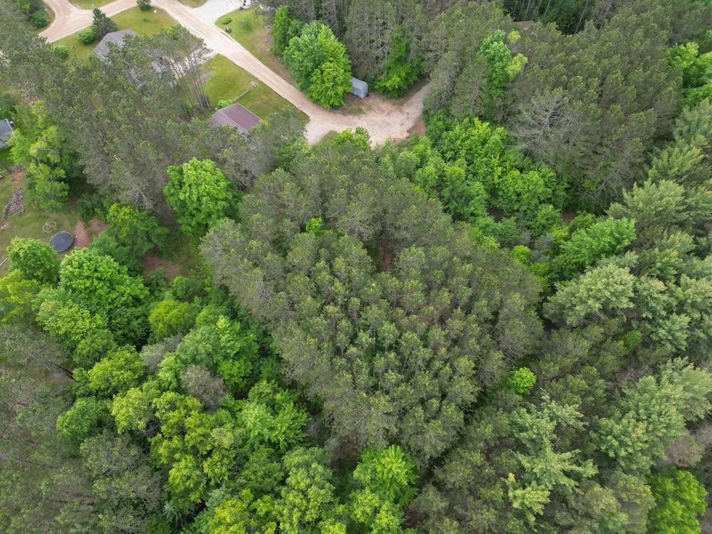 Primrose Lane Surrey Township, MI 48622