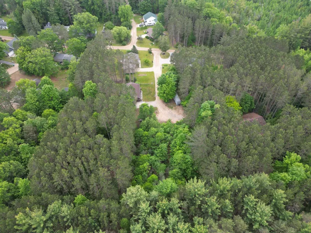 Primrose Lane Surrey Township, MI 48622