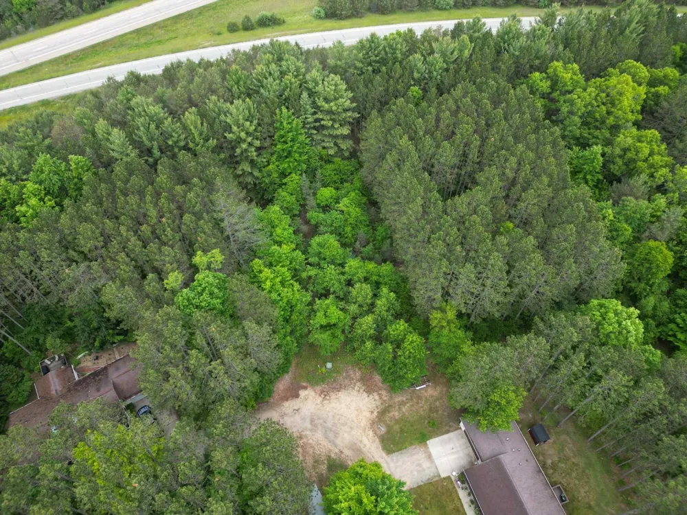 Primrose Lane Surrey Township, MI 48622