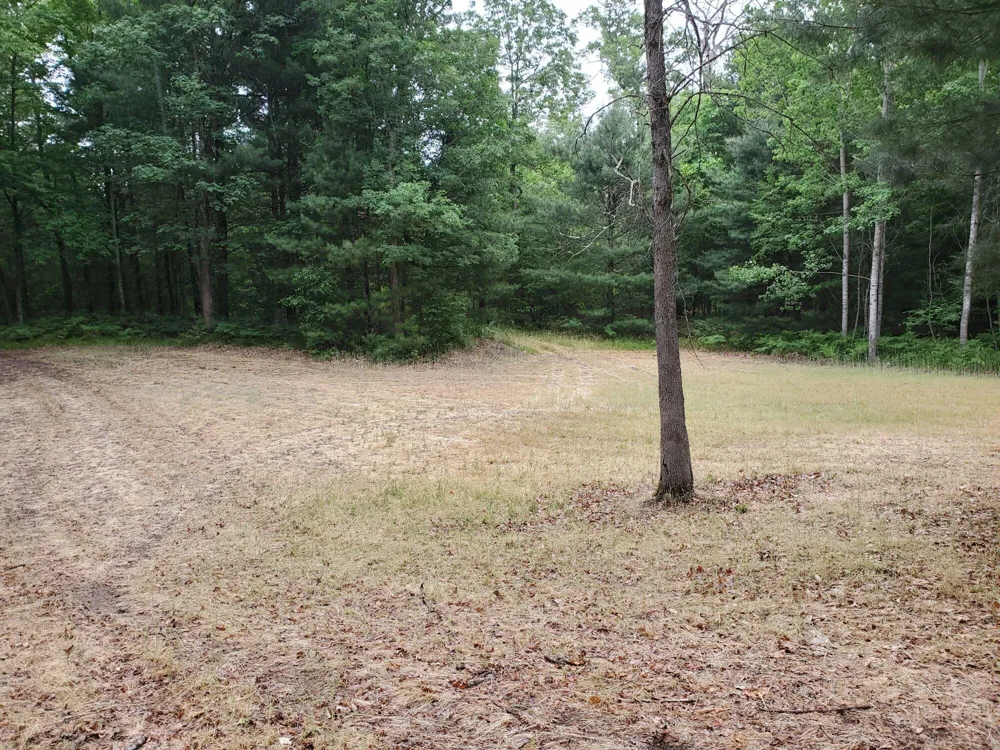5242 S Forest Drive Baldwin, MI 49304