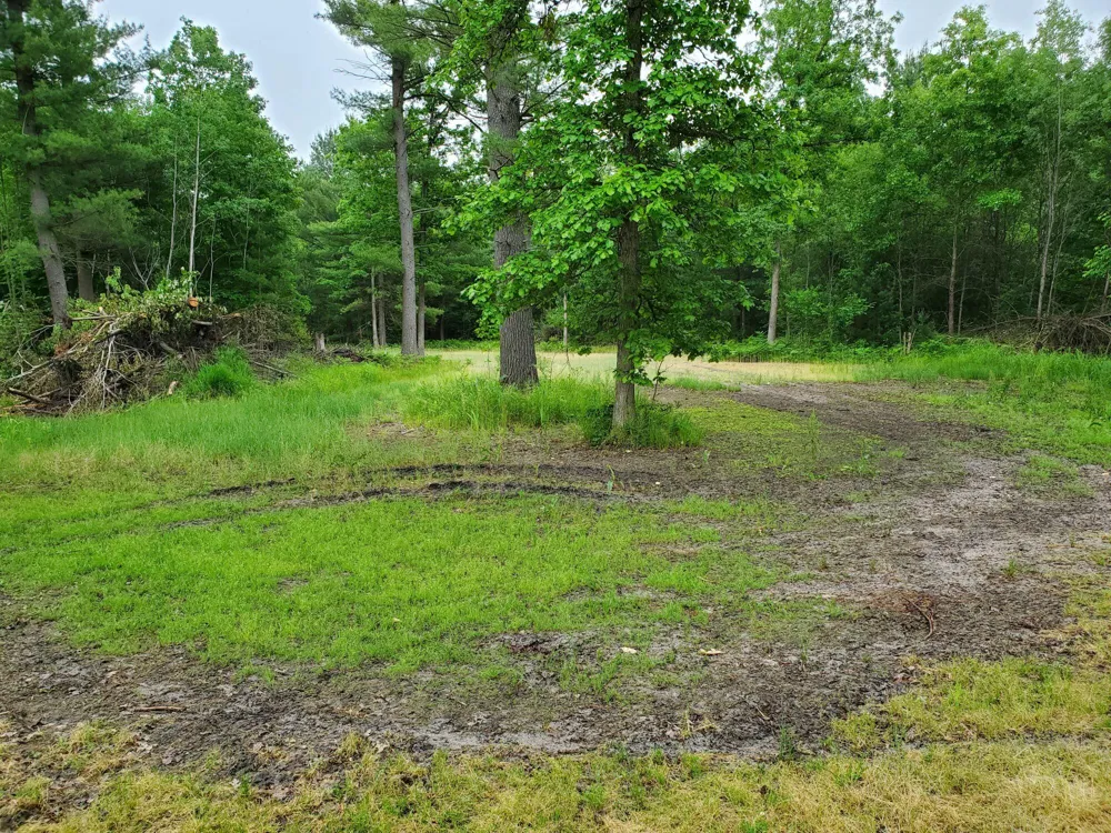 5242 S Forest Drive Baldwin, MI 49304