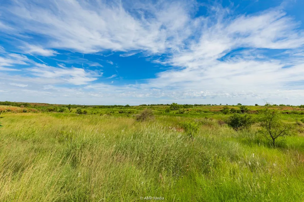 CR 440 Rotan, TX 79546