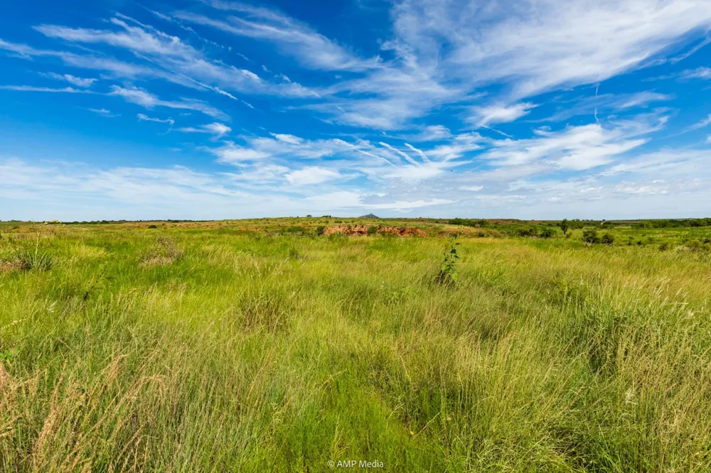 CR 440 Rotan, TX 79546