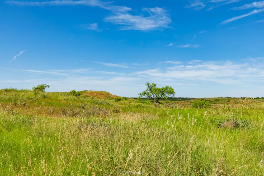 CR 440 Rotan, TX 79546