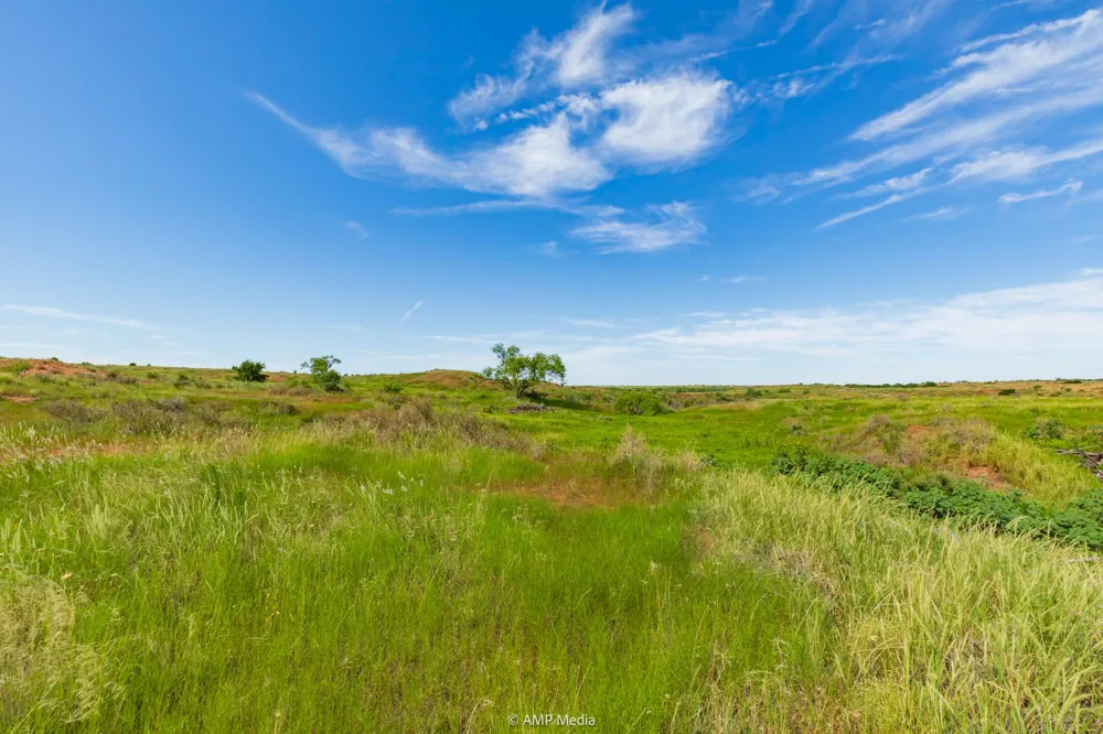 CR 440 Rotan, TX 79546