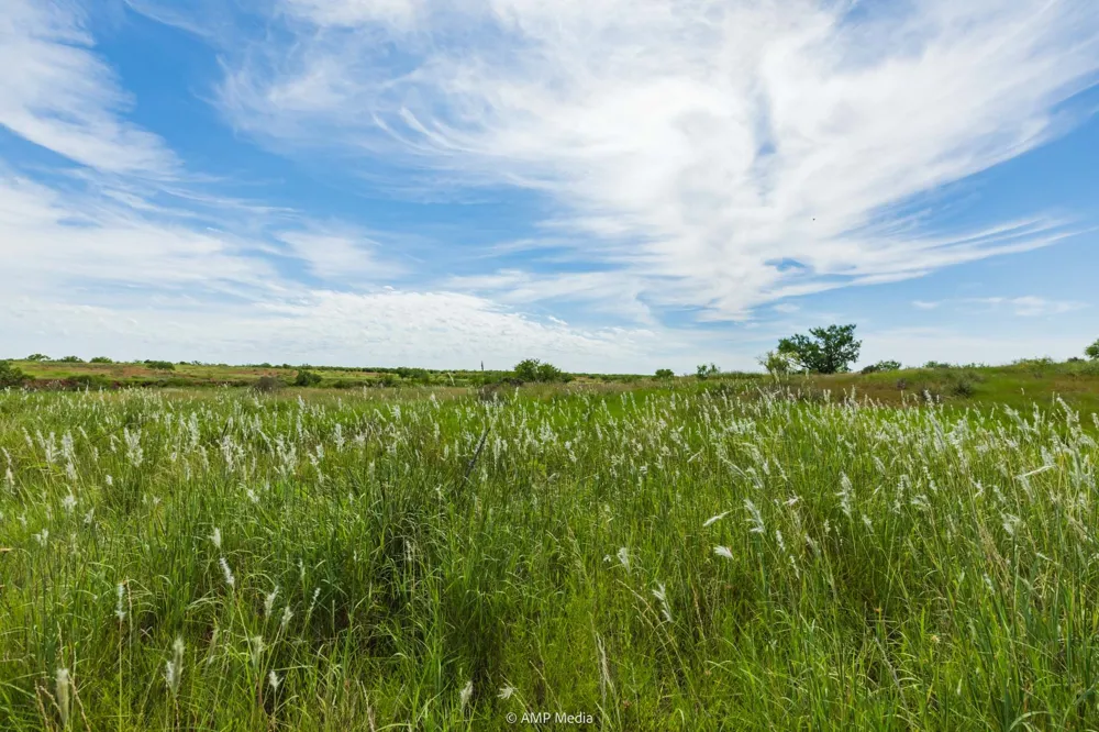CR 440 Rotan, TX 79546