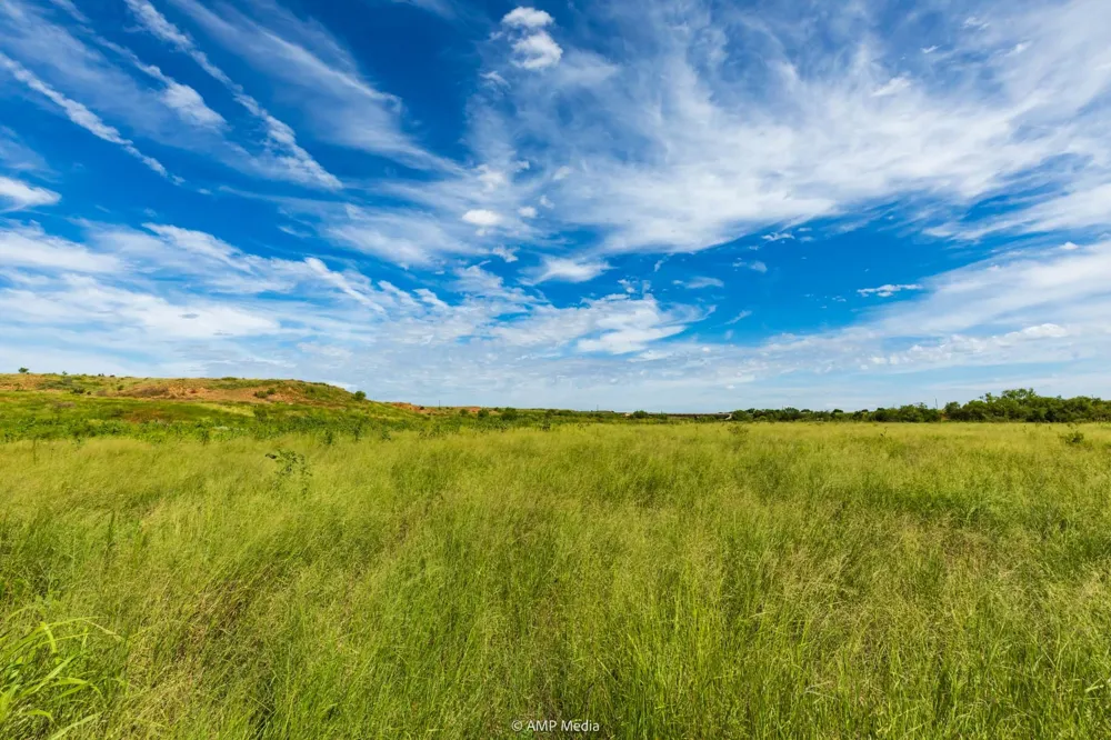CR 440 Rotan, TX 79546
