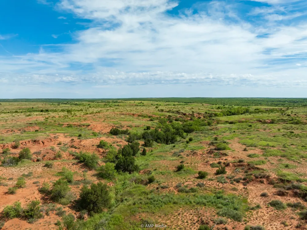 CR 440 Rotan, TX 79546