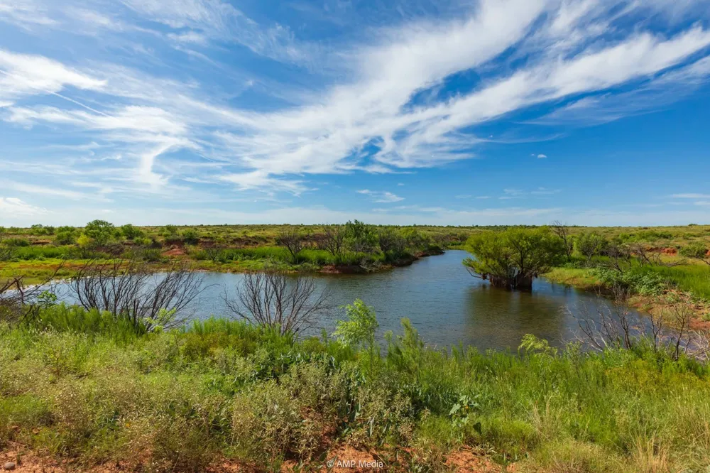 CR 440 Rotan, TX 79546