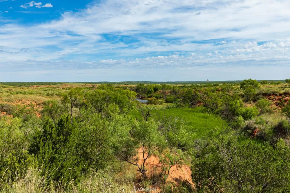 CR 440 Rotan, TX 79546
