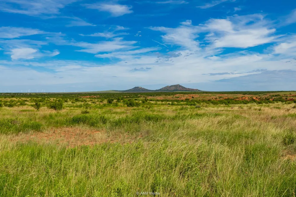 CR 440 Rotan, TX 79546