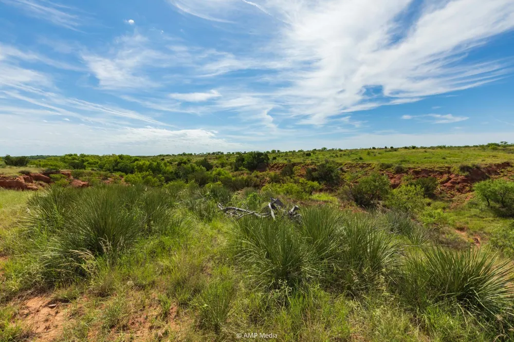 CR 440 Rotan, TX 79546