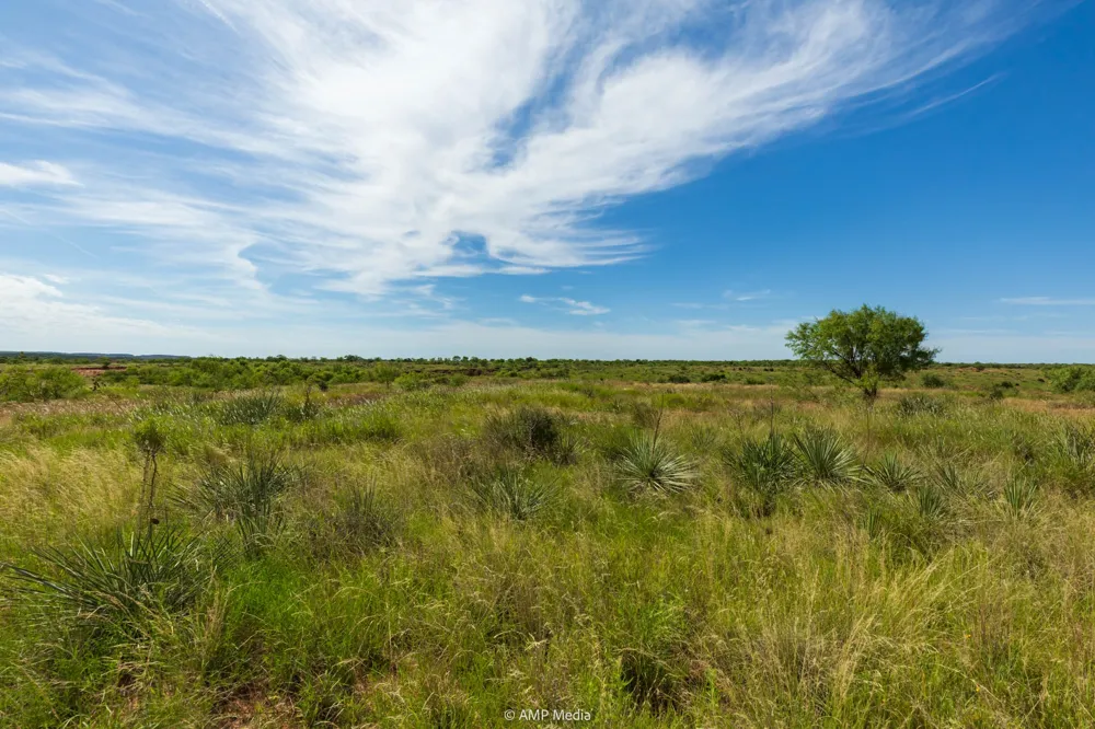 CR 440 Rotan, TX 79546