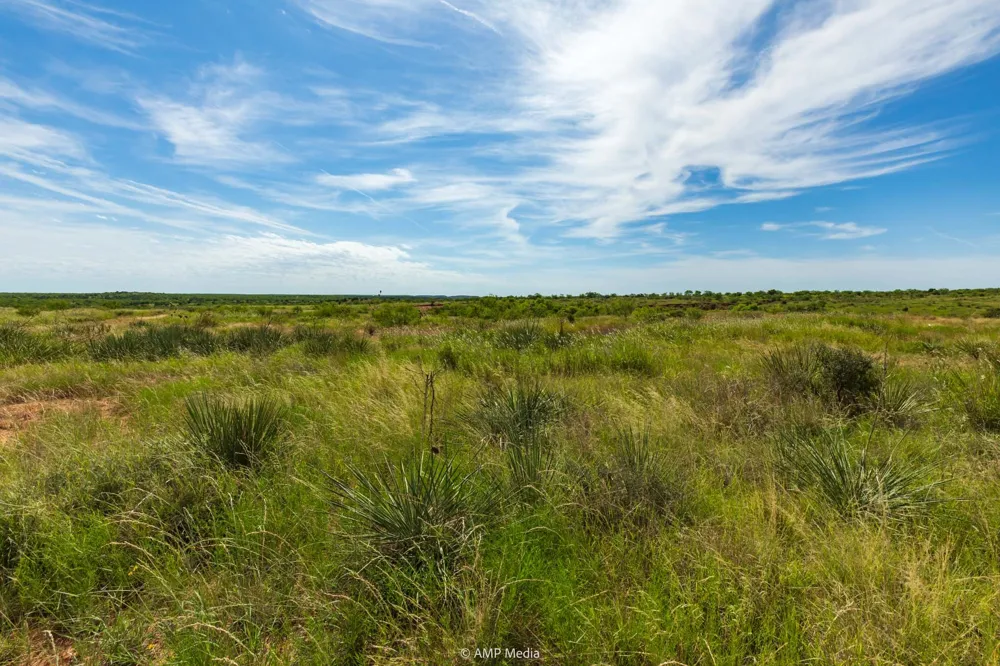 CR 440 Rotan, TX 79546