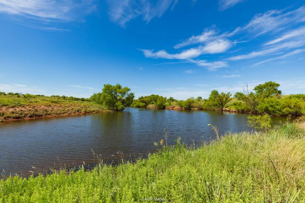 CR 440 Rotan, TX 79546