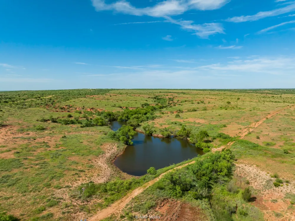 CR 440 Rotan, TX 79546