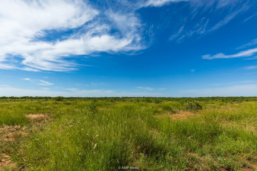 CR 440 Rotan, TX 79546