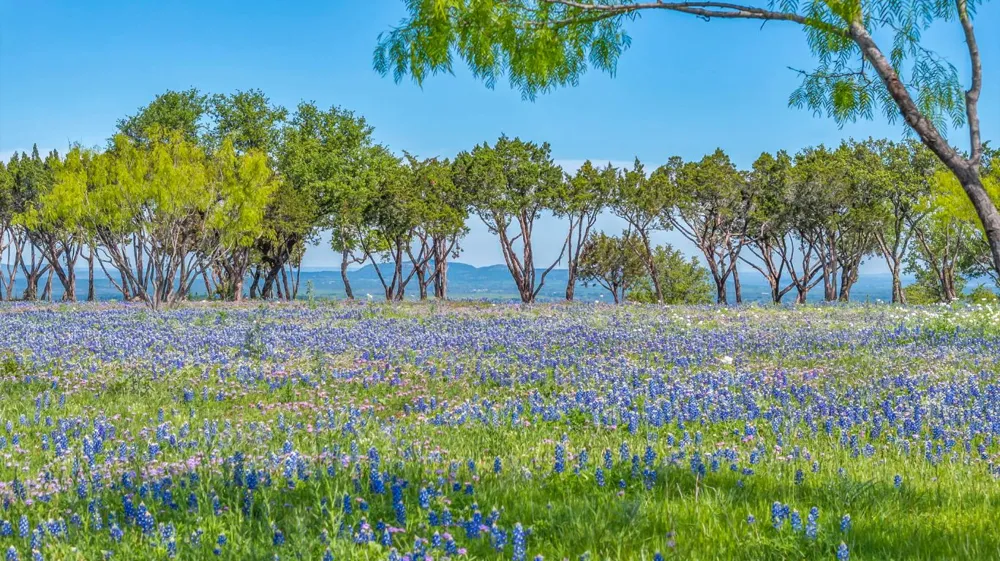 3531 RR 3347 - LOT 2 Round Mountain, TX 78663