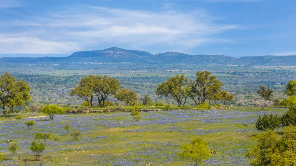 3531 RR 3347 - LOT 11 Round Mountain, TX 78663