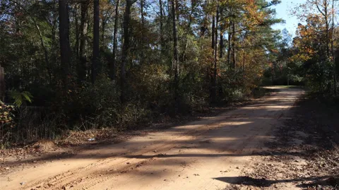 Mallard Drive