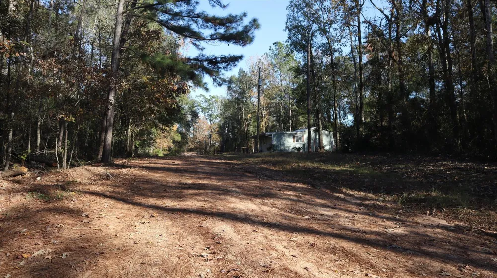 Pin Tail Coldspring, TX 77331