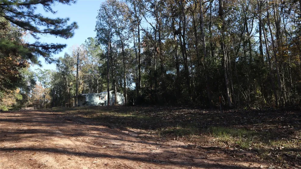 Pin Tail Coldspring, TX 77331