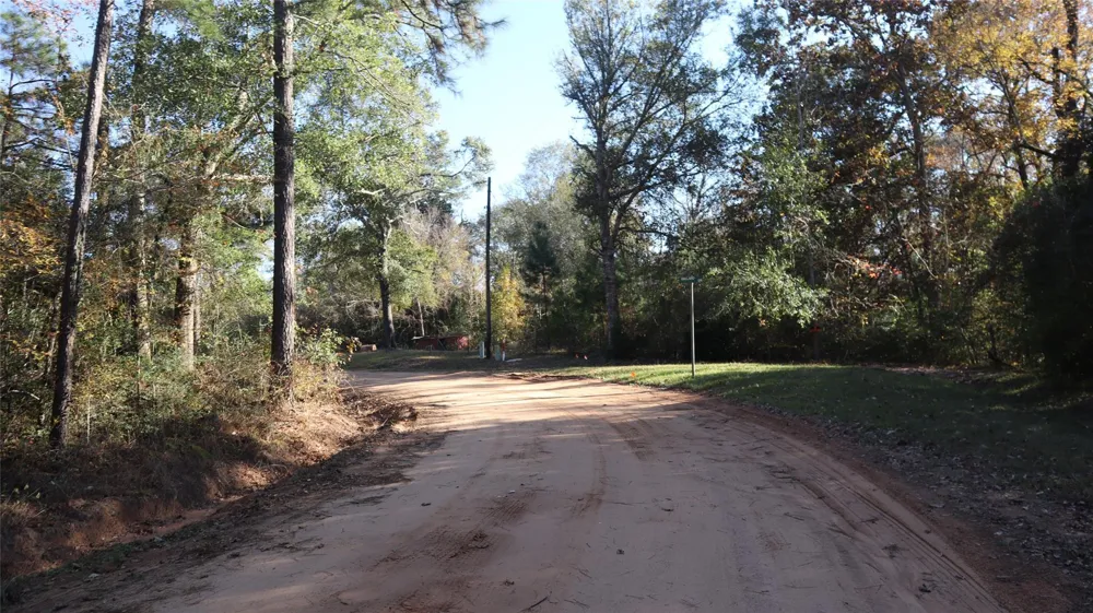 Pin Tail Coldspring, TX 77331