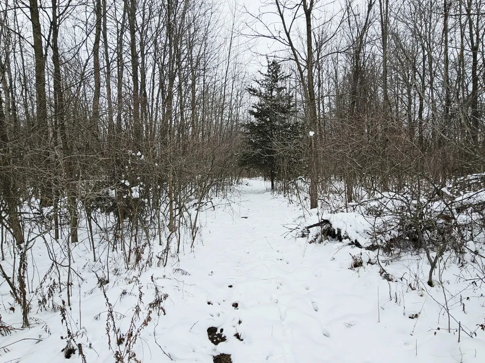 490 Kelley Road Reading, MI 49274