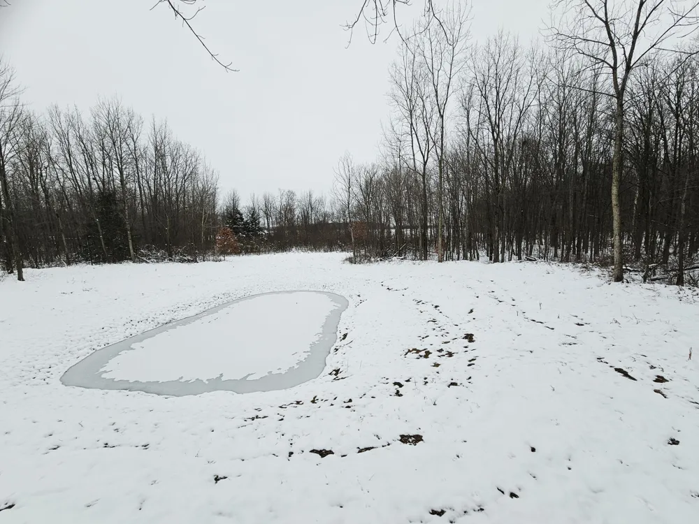 490 Kelley Road Reading, MI 49274