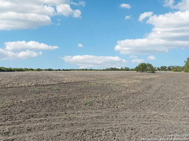 11735 obrien Atascosa, TX 78002