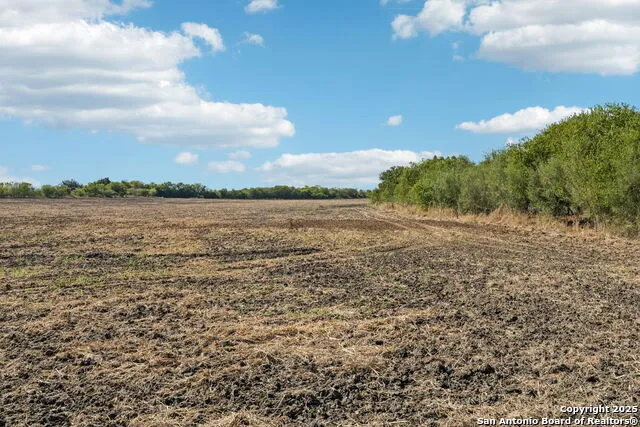 11735 obrien Atascosa, TX 78002
