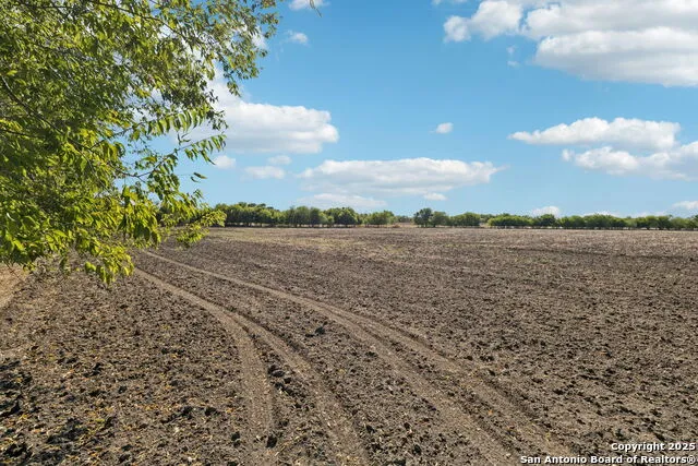 11735 obrien Atascosa, TX 78002