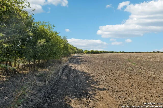 11735 obrien Atascosa, TX 78002