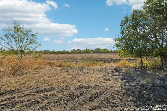11735 obrien Atascosa, TX 78002