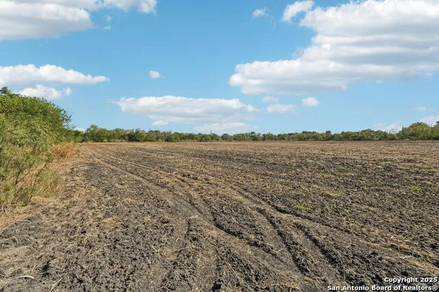11735 obrien Atascosa, TX 78002