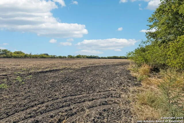 11735 obrien Atascosa, TX 78002