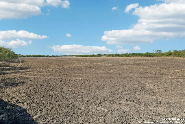 11735 obrien Atascosa, TX 78002
