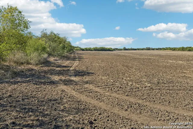 11735 obrien Atascosa, TX 78002