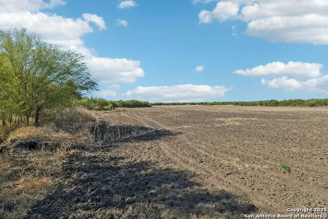 11735 obrien Atascosa, TX 78002